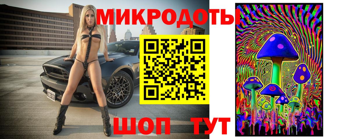 Псилоцибиновые грибы Psilocybe Реутов