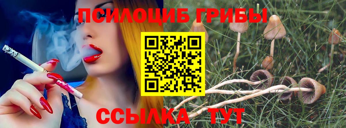 Псилоцибиновые грибы мухоморы  Вход с VPN  Реутов 